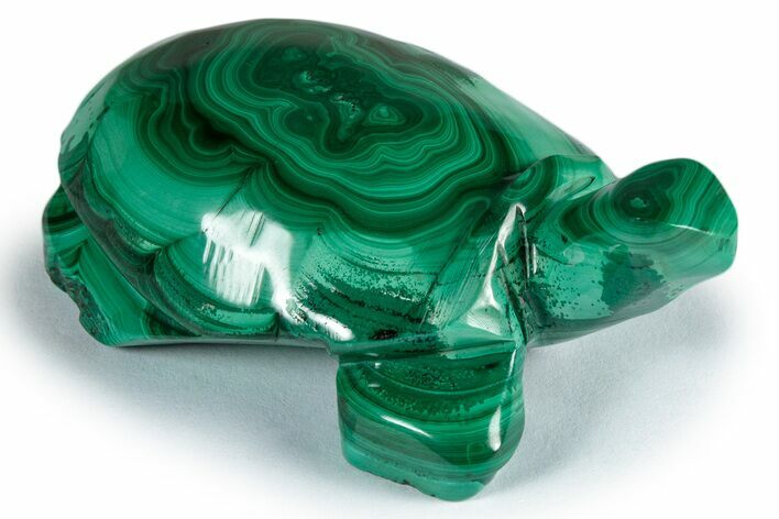 Flowery, Malachite Turtle Carving - DR Congo #337818